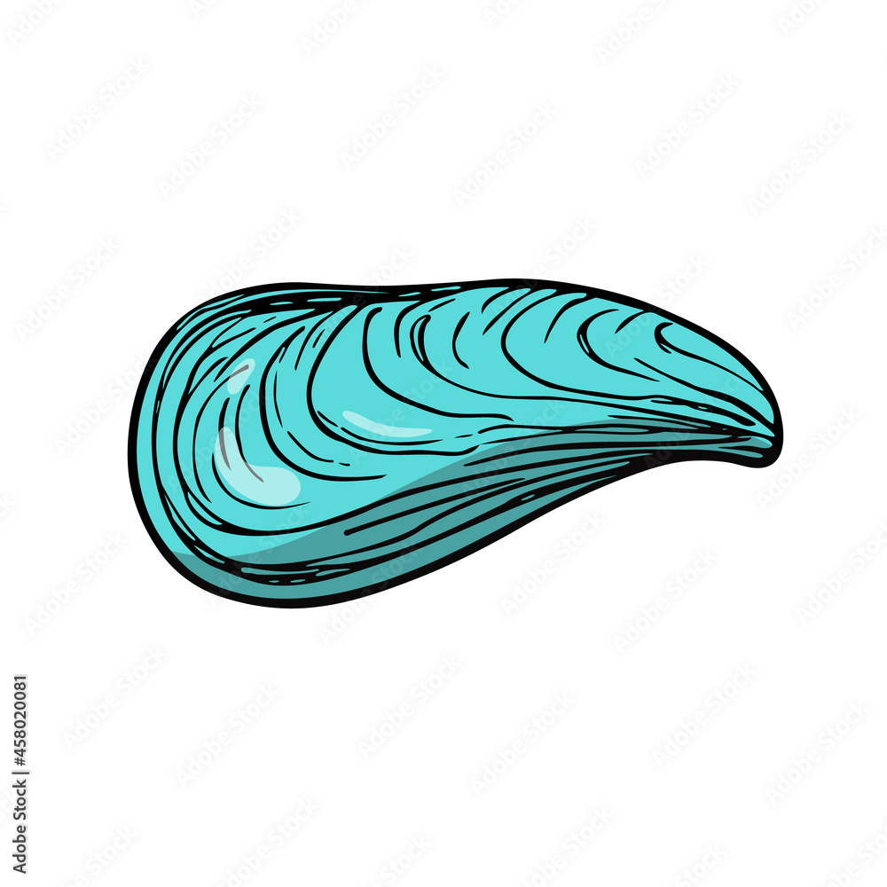 Flat seashell, hand-drawn sea symbol. Fossil conch painted by ink, pen. Line, colored doodle, minimalism. Simple sketchy icon. Isolated. Vector illustration. Flat seashell, hand-drawn sea symbol. Fossil conch painted by ink, pen. Line, colored doodle, minimalism. Simple sketchy icon. Isolated. Vector illustration.