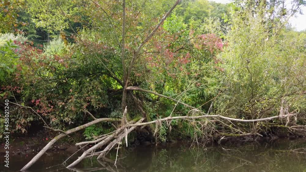 Ufer der Fränkischen Saale, Flussufer Ufer der Fränkischen Saale, Flussufer