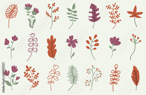 Flower herbarium. Autumn. Lovely flowers. Print with flowers.