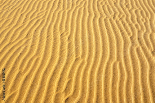 Sand texture, closeup of sand on the dune, sandy background, Phan Thiet, Vietnam. © Pherllioz