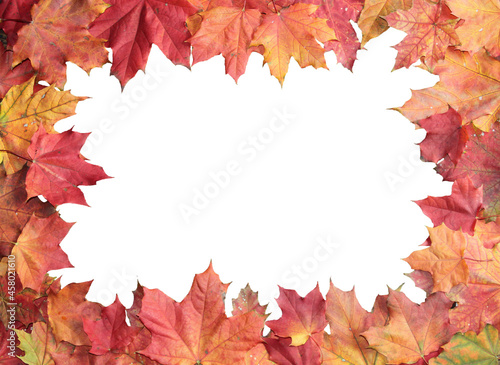 Frame made of autumn maple leaves. Space for text.