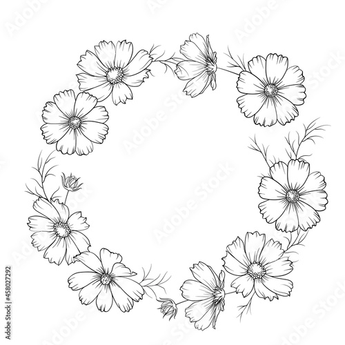 Round wreath of cosmos in black and white. Frame made of flowers.