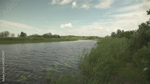 A river scene in green summer meadows and forest in the background in a windy and sunny day