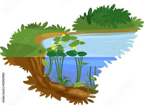 Split level cartoon landscape with blue pond overgrown with flowering yellow water-lily (Nuphar lutea) with green leaves