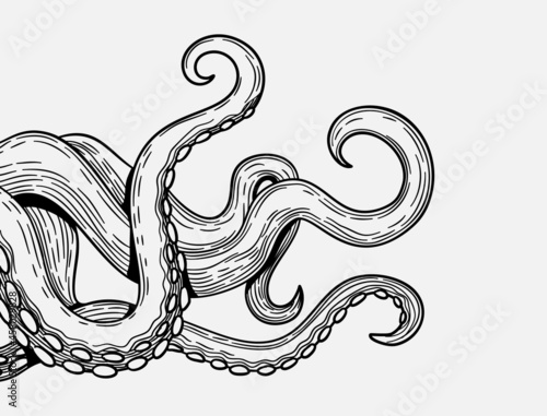 Tentacles banner. Octopus tentacle sketch element. Decorative engraving sea animal parts vector poster photo