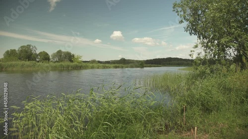 A river scene in green summer meadows and forest in the background in a windy and sunny day