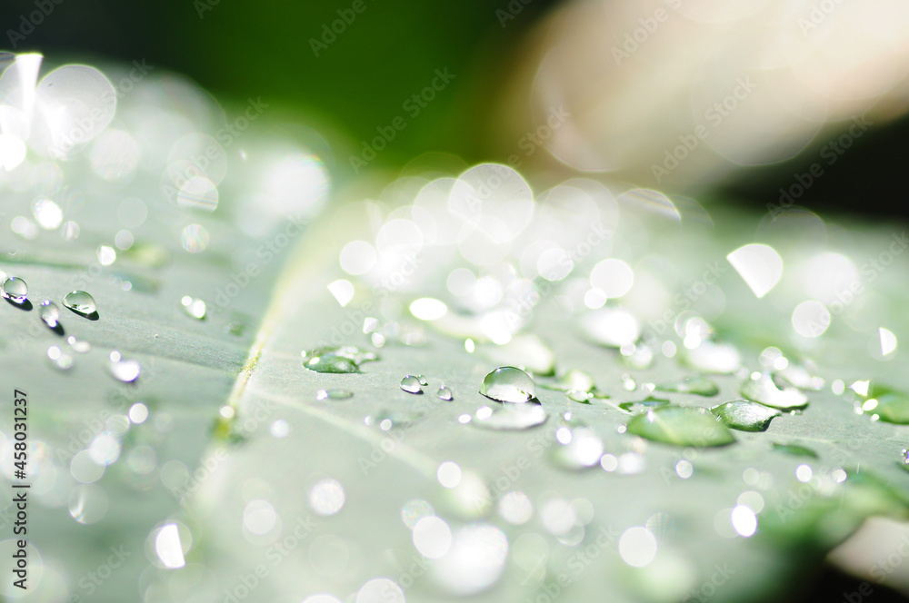 Abstract bokeh Light natural color background