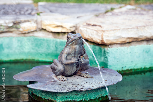 Frog fountain - statue of a frog on a lily pad with water spouting from its mouth