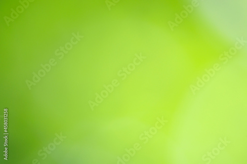 abstract light nature background