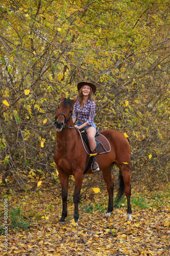 Beautiful cowgirl ride her horse in autumn country road at sunset © horsemen