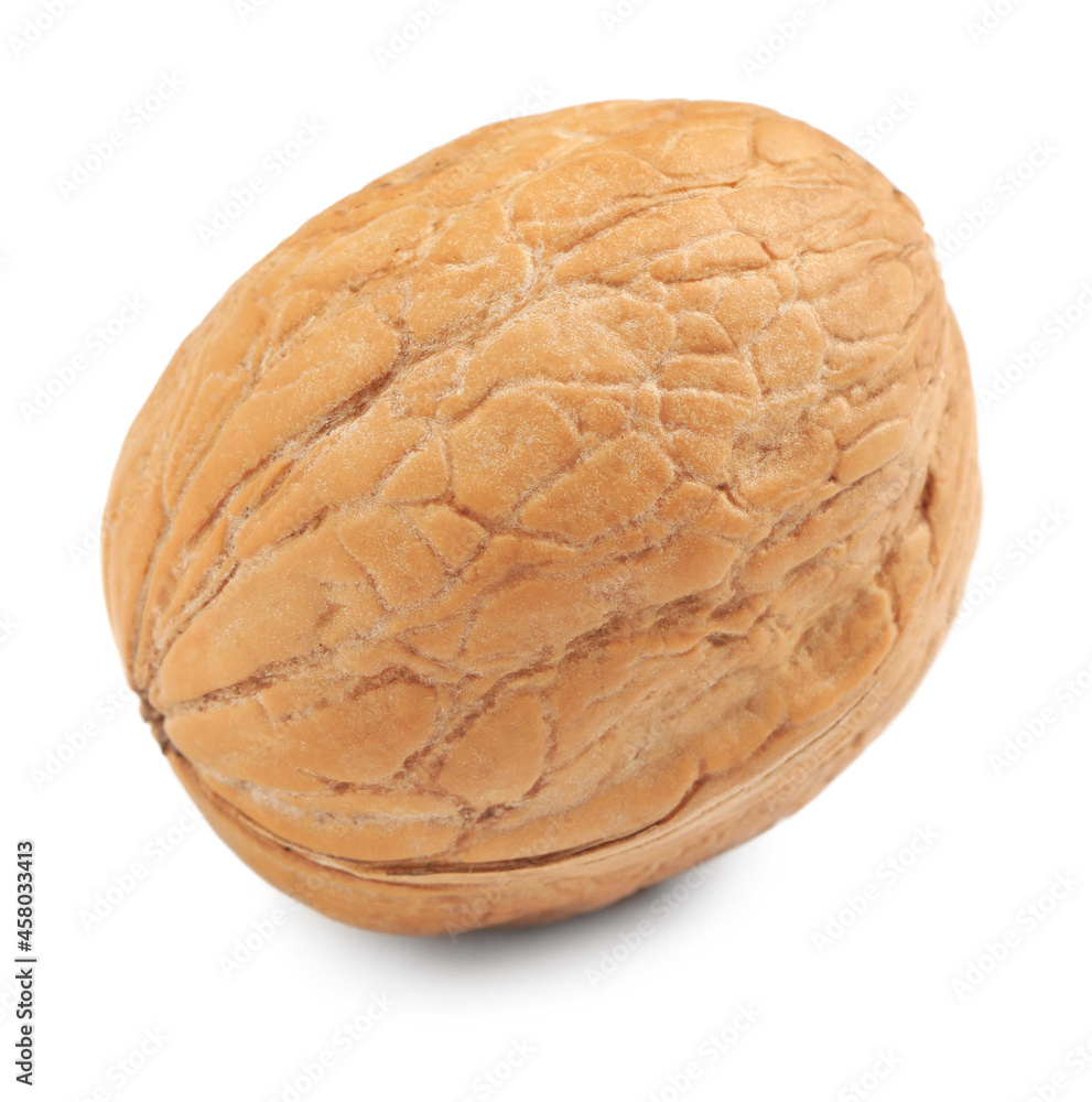 Whole walnut in shell isolated on white Whole walnut in shell isolated on white