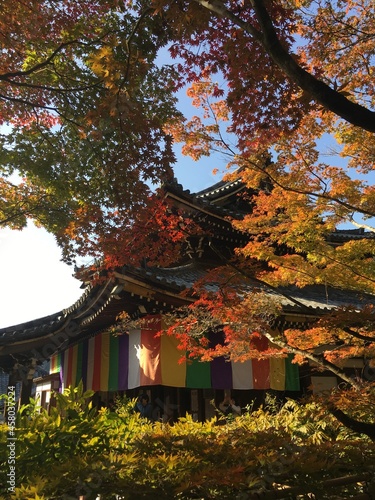 japanese garden in autumn