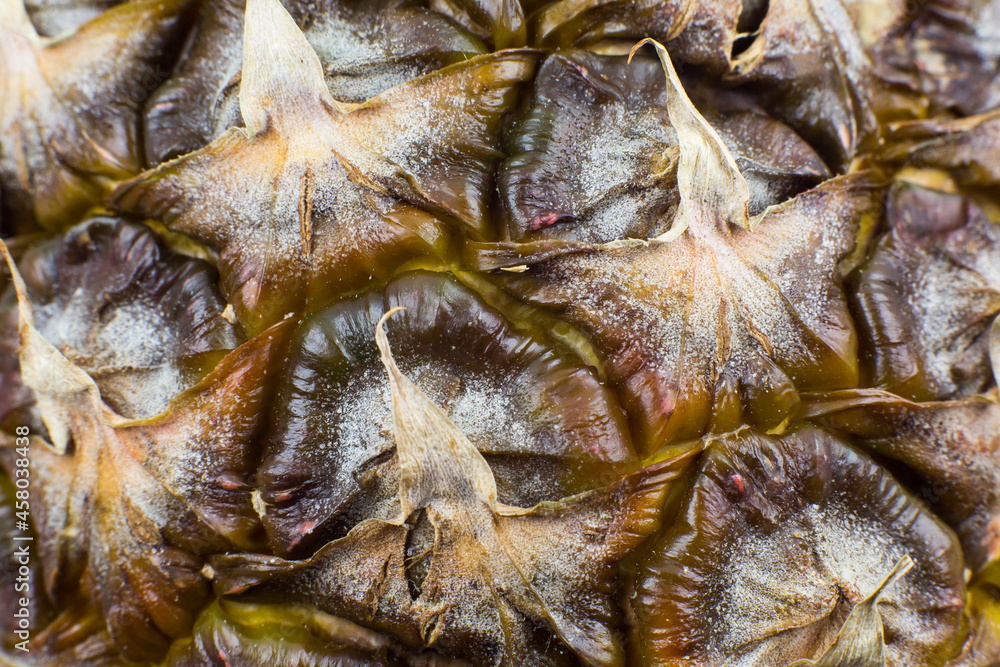 Pineapple peel texture background. Exotic fruit close up photo, macro view. Beautiful wallpaper. Pineapple peel texture background. Exotic fruit close up photo, macro view. Beautiful wallpaper.