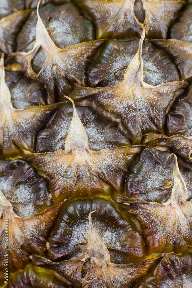 Pineapple peel texture background. Exotic fruit close up photo, macro view. Beautiful wallpaper. Pineapple peel texture background. Exotic fruit close up photo, macro view. Beautiful wallpaper.
