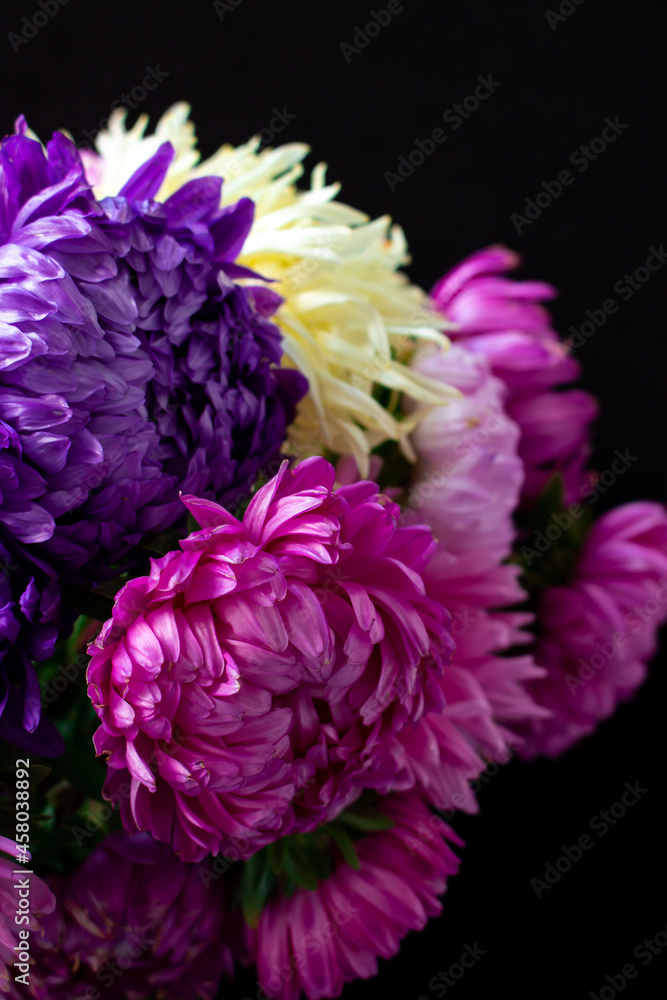 purple flower on black background