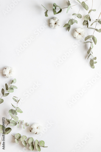 Round frame floral pattern with eucalyptus leaves and cotton