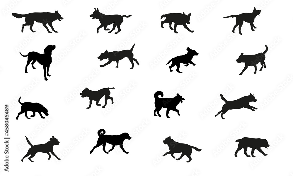 Group of dogs various breed. Black dog silhouette. Running, standing, walking, jumping dogs. Isolated on a white background. Pet animals.