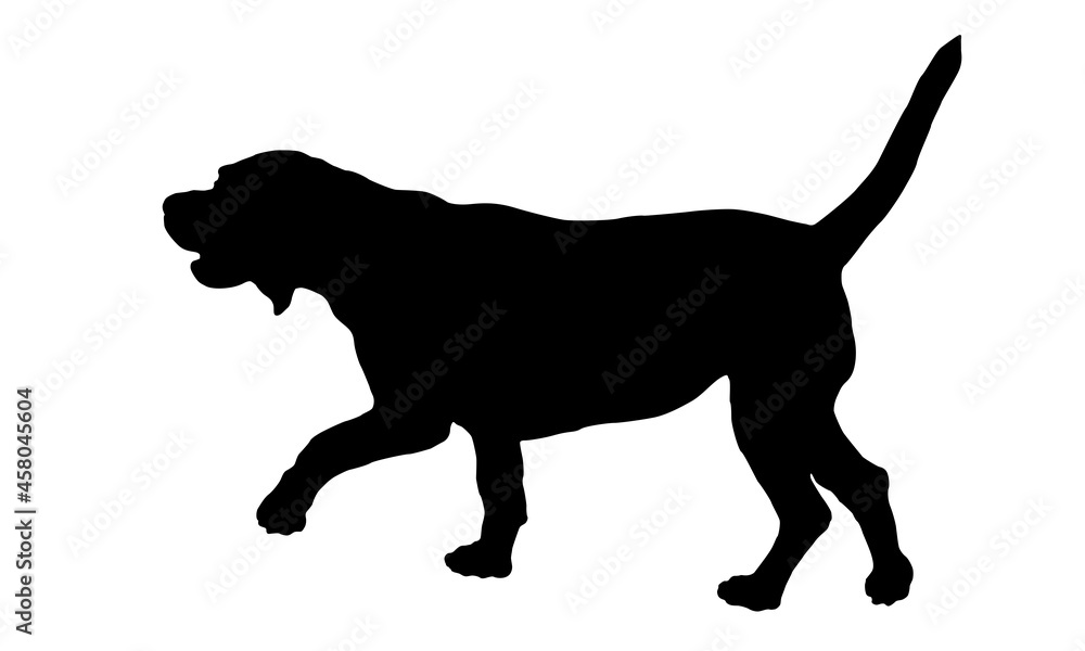 Black dog silhouette. Walking english beagle puppy. Pet animals. Isolated on a white background.