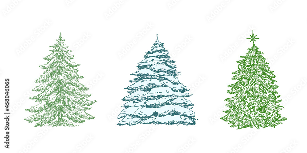 Hand Drawn Christmas Tree Color Vector Illustrations Set. Abstract Pines Sketches Collection. Winter Holiday Engraving Style Drawings. Isolated
