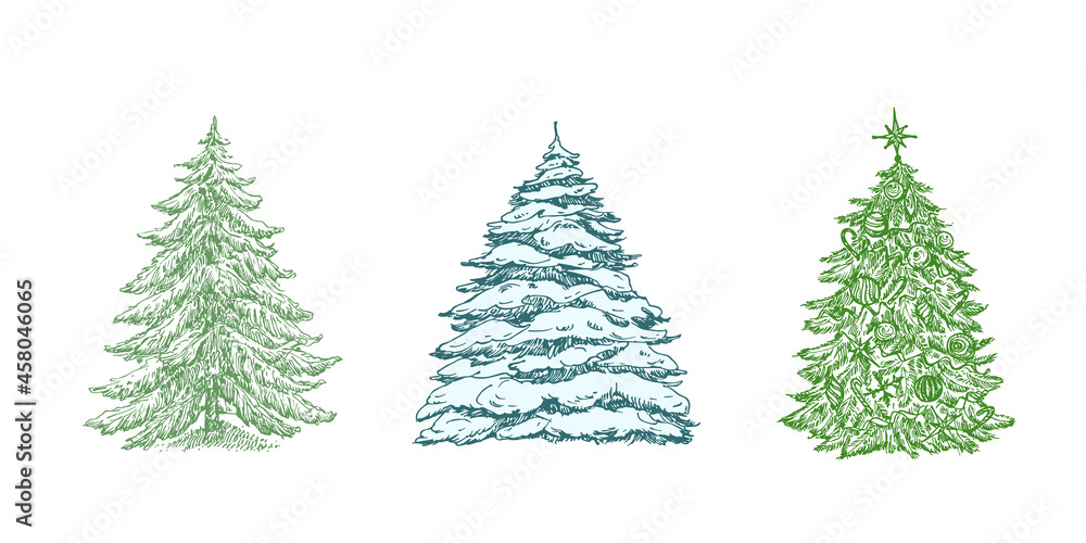Fototapeta premium Hand Drawn Christmas Tree Color Vector Illustrations Set. Abstract Pines Sketches Collection. Winter Holiday Engraving Style Drawings. Isolated