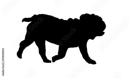 Black dog silhouette. Running english bulldog puppy. Pet animals. Isolated on a white background.