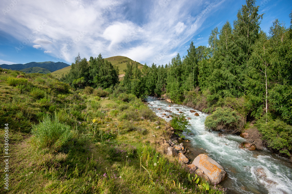 Obraz premium mountain river in the mountains