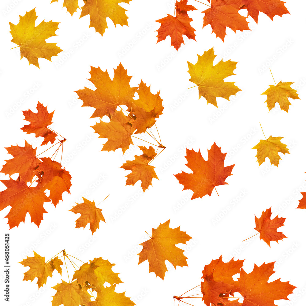 seamless pattern of isolated on a white background autumn maple leaves. Autumn leaf fall. Orange and yellow pattern. Design element. seamless pattern of isolated on a white background autumn maple leaves. Autumn leaf fall. Orange and yellow pattern. Design element.