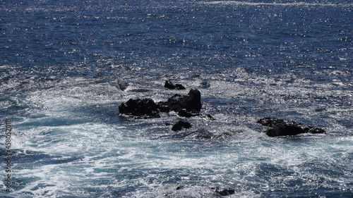 Hard rocks in the sea create a rugged landscape, Funchal, Madeira, Portugal