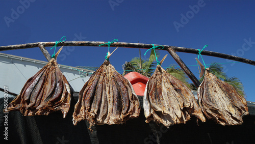 Dry fishes are spread out in the sun, Funchal , Madeira, Portugal