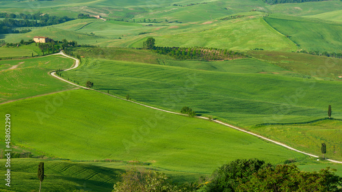 idyllic Landscape in Pienza, Tuscany, Italy