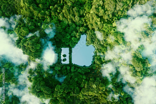 Thumbs up icon - like icon in the form of a clear pond in the middle of a lush virgin forest. 3d rendering. photo