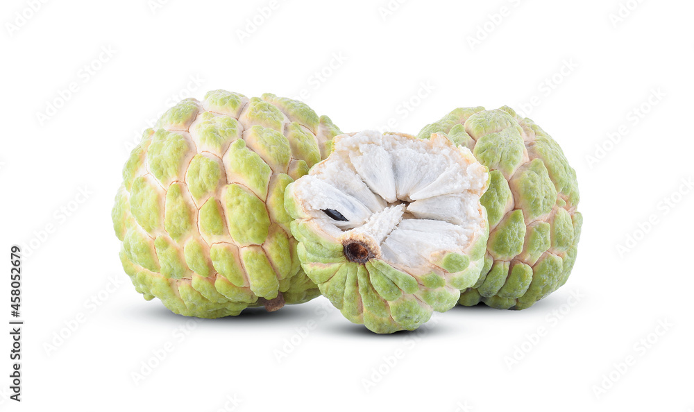 Fototapeta premium annona or custard apple isolated on white background
