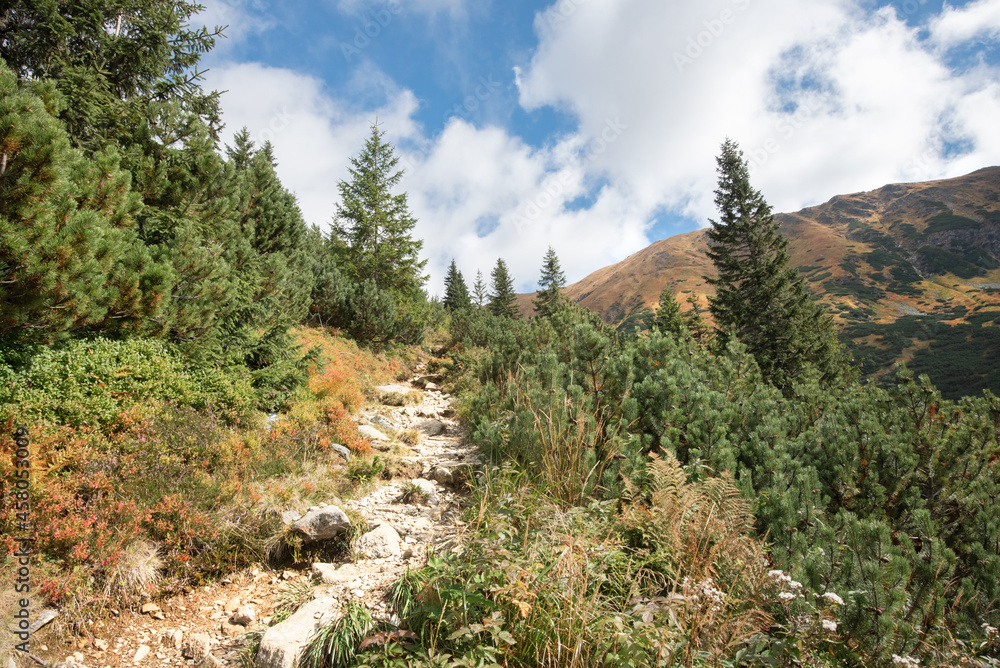 hiking trail in autumn. Žiar valley in the Western Tatras in Slovakia. hiking trail in autumn. Žiar valley in the Western Tatras in Slovakia.