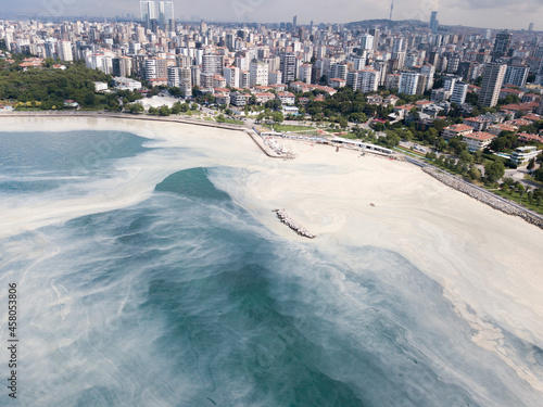 aeiral view of mucilage that effect of marine pollution 