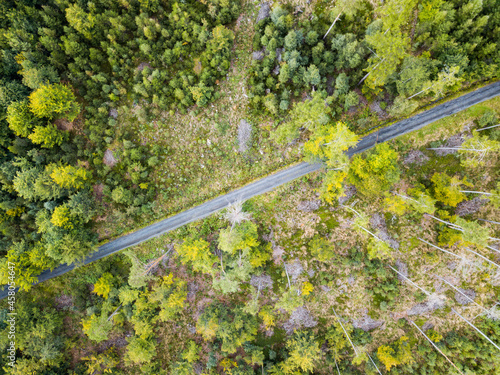 Country road in the forest. Aerial view of evergreen trees. Texture of the top of the tree. Beautiful green spruce forest from drone. Forest aerial view 