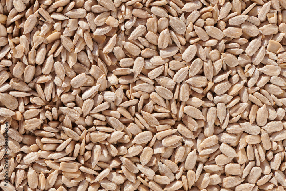 Shelled sunflower seeds. Peeled seeds food background. Top view. Shelled sunflower seeds. Peeled seeds food background. Top view.