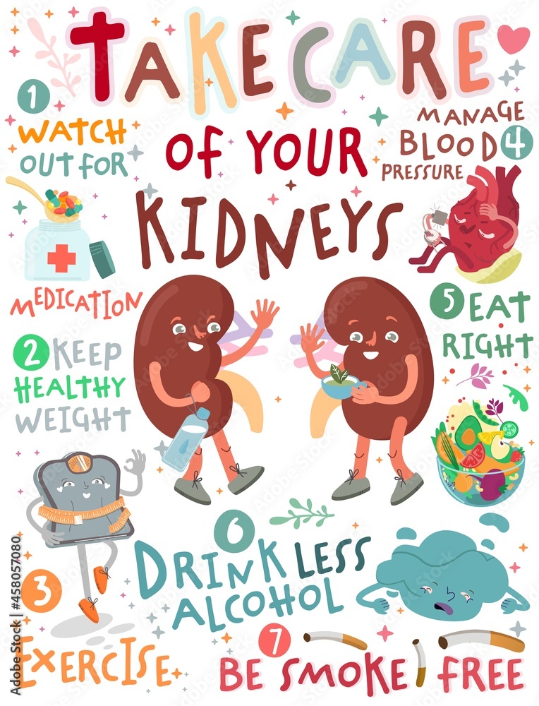 Take care of your kidneys. Creative vertical poster in modern style.