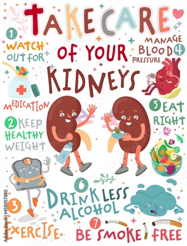 Fototapeta Naklejka Na Ścianę i Meble -  Take care of your kidneys. Creative vertical poster in modern style.