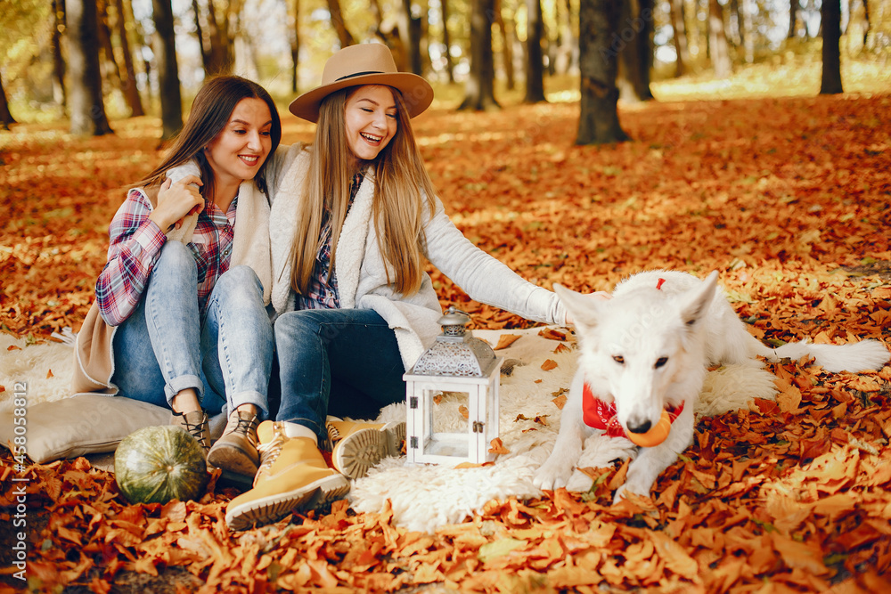 Beautiful girls have fun in a autumn park Beautiful girls have fun in a autumn park