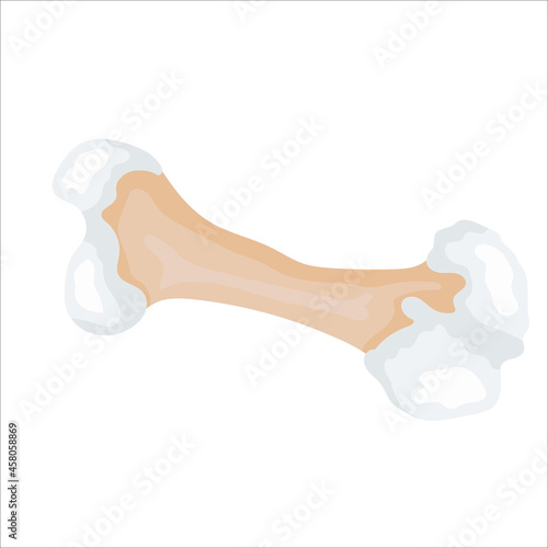 Hand-drawn dog bone isolated on white background. Food waste. Vector illustration