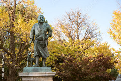 Statue of Takamori Saigo and autumn yellow ginkgo trees at Ueno Park in Tokyo, Japan　秋の上野公園 西郷隆盛の銅像と黄葉したイチョウの木 photo