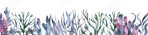 Watercolor corals underwater world horizontal illustration with watercolor sea life colorful seaweed