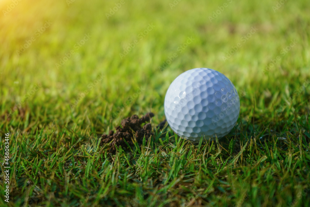 Golf ball on Green field golf course in morning time with soft sunlight. Golf ball on Green field golf course in morning time with soft sunlight.