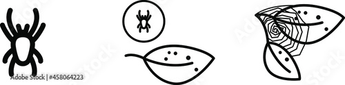 spider mite icon