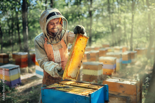 Joyful beekeeper holding a frame with honeycombs. Harvest of beekeeping products in the apiary. photo