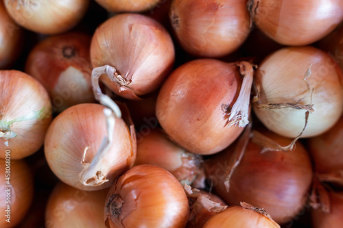 Ripe juicy onions on the counter of the grocery market, a bunch of fresh onions, vegetable trade