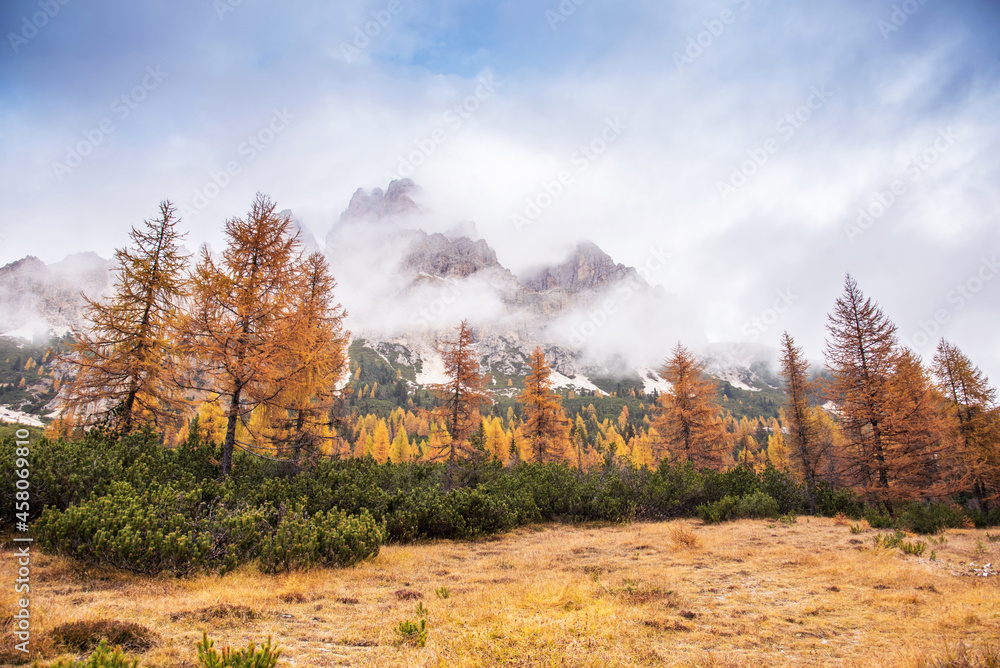 mystical beautiful autumn landscape with yellow larch and fog over the mountains in the Dolomites, the Italian Alps. (Meditation, anti-stress, relaxation - concept)
