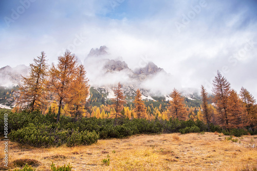 Obraz na płótnie mystical beautiful autumn landscape with yellow larch and fog over the mountains in the Dolomites, the Italian Alps. (Meditation, anti-stress, relaxation - concept) w salonie