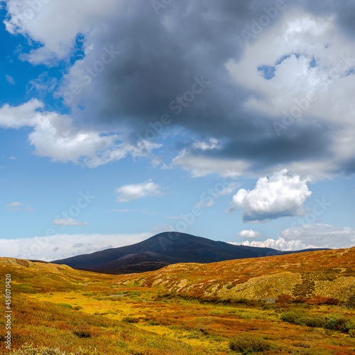 Dramatic autumn landscape with black mountain in gold sunshine. Beautiful mountain scenery with sunlit golden autumn plateau and big dark cloud. Colorful view to mountains and clouds in blue sky.