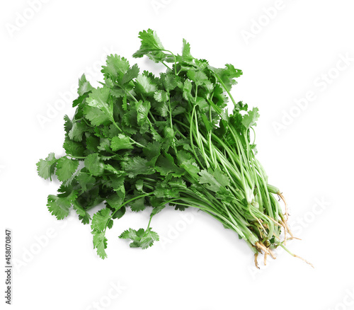 Bunch of fresh coriander on white background, top view